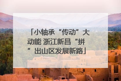 小轴承“传动”大动能 浙江新昌“拼”出山区发展新路