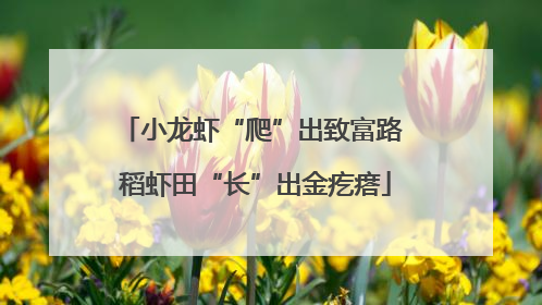 小龙虾“爬”出致富路 稻虾田“长”出金疙瘩