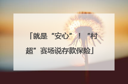 就是“安心”！“村超”赛场说存款保险
