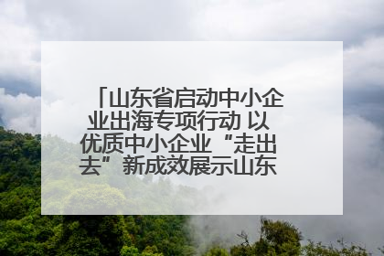 山东省启动中小企业出海专项行动 以优质中小企业“走出去”新成效展示山东产业发展新形象