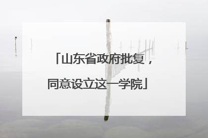 山东省政府批复，同意设立这一学院