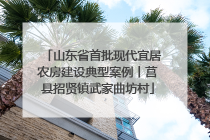 山东省首批现代宜居农房建设典型案例丨莒县招贤镇武家曲坊村