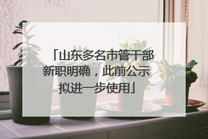 山东多名市管干部新职明确，此前公示拟进一步使用