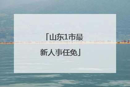 山东1市最新人事任免