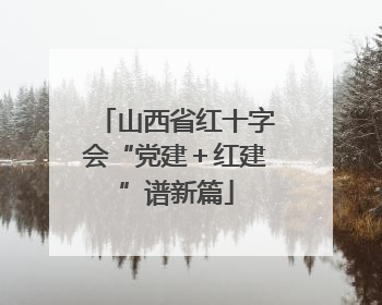 山西省红十字会“党建＋红建”谱新篇