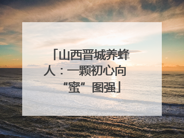 山西晋城养蜂人：一颗初心向“蜜”图强