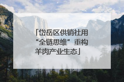 岱岳区供销社用“全链思维”重构羊肉产业生态