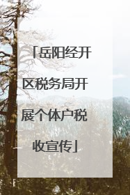 岳阳经开区税务局开展个体户税收宣传