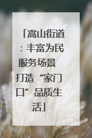 嵩山街道：丰富为民服务场景 打造“家门口”品质生活