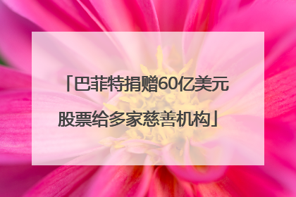 巴菲特捐赠60亿美元股票给多家慈善机构