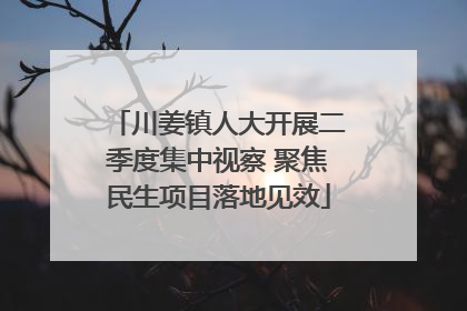 川姜镇人大开展二季度集中视察 聚焦民生项目落地见效