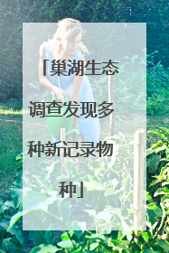 巢湖生态调查发现多种新记录物种