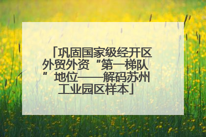 巩固国家级经开区外贸外资“第一梯队”地位——解码苏州工业园区样本