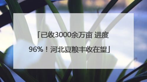 已收3000余万亩 进度96%！河北夏粮丰收在望
