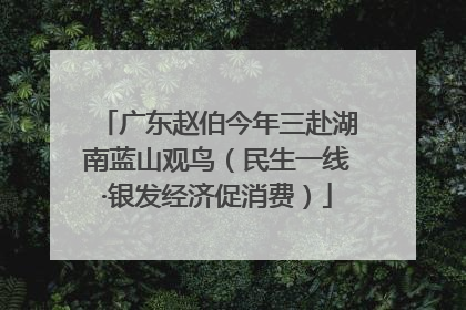 广东赵伯今年三赴湖南蓝山观鸟（民生一线·银发经济促消费）