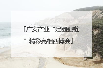 广安产业“建圈强链”精彩亮相西博会