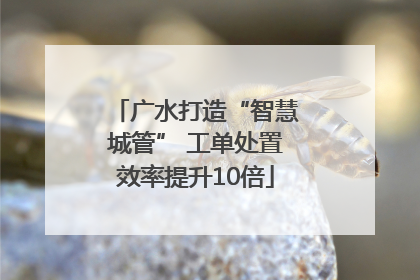 广水打造“智慧城管” 工单处置效率提升10倍
