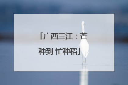 广西三江：芒种到 忙种稻