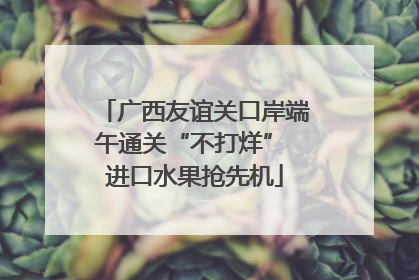 广西友谊关口岸端午通关“不打烊” 进口水果抢先机