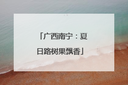 广西南宁：夏日路树果飘香