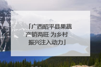 广西昭平县果蔬产销两旺 为乡村振兴注入动力