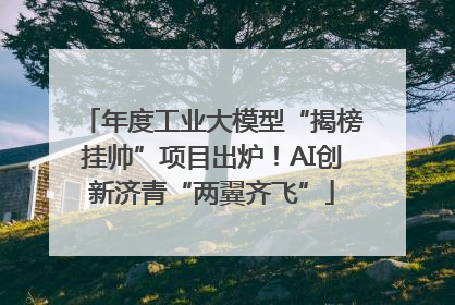 年度工业大模型“揭榜挂帅”项目出炉！AI创新济青“两翼齐飞”