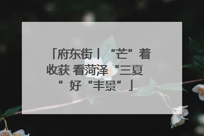 府东街丨“芒”着收获 看菏泽“三夏”好“丰景”