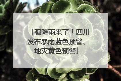 强降雨来了！四川发布暴雨蓝色预警、地灾黄色预警