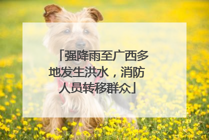 强降雨至广西多地发生洪水，消防人员转移群众