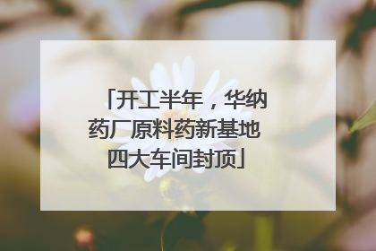 开工半年，华纳药厂原料药新基地四大车间封顶