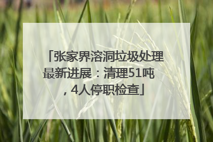 张家界溶洞垃圾处理最新进展：清理51吨，4人停职检查