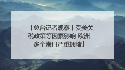 总台记者观察丨受美关税政策等因素影响 欧洲多个港口严重拥堵