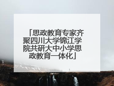 思政教育专家齐聚四川大学锦江学院共研大中小学思政教育一体化