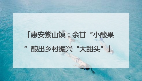 惠安紫山镇：余甘“小酸果”酿出乡村振兴“大甜头”