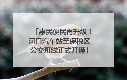 惠民便民再升级！河口汽车站至保税区公交班线正式开通
