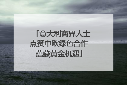 意大利商界人士点赞中欧绿色合作蕴藏黄金机遇