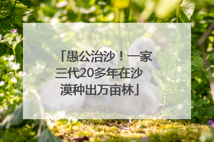 愚公治沙！一家三代20多年在沙漠种出万亩林