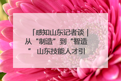 感知山东记者谈｜从“制造”到“智造” 山东技能人才引领产业升级