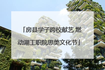 房县学子跨校献艺 燃动湖工职院思美文化节