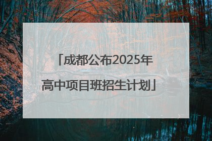 成都公布2025年高中项目班招生计划