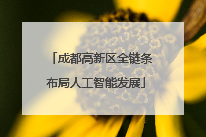 成都高新区全链条布局人工智能发展