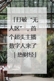 打破“无人区”，首个超头主播数字人来了｜热财经