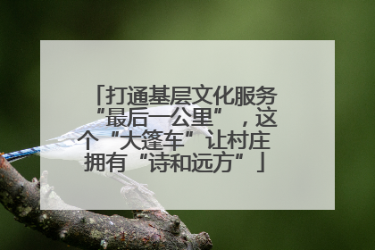 打通基层文化服务“最后一公里”，这个“大篷车”让村庄拥有“诗和远方”