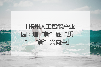 扬州人工智能产业园：追“新”逐“质” “新”兴向荣