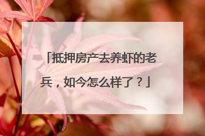 抵押房产去养虾的老兵，如今怎么样了？