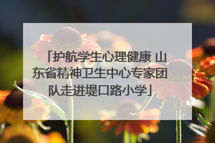 护航学生心理健康 山东省精神卫生中心专家团队走进堤口路小学