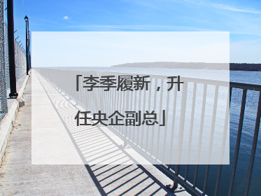 李季履新，升任央企副总