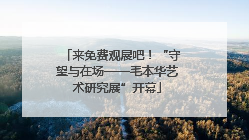 来免费观展吧！“守望与在场——毛本华艺术研究展”开幕