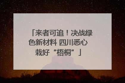 来者可追！决战绿色新材料 四川悉心栽好“梧桐”