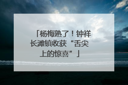 杨梅熟了！钟祥长滩镇收获“舌尖上的惊喜”